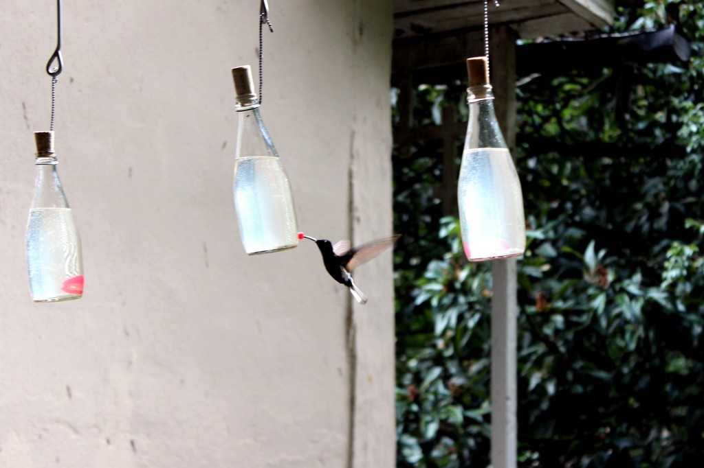 Varanda dos Colibris
