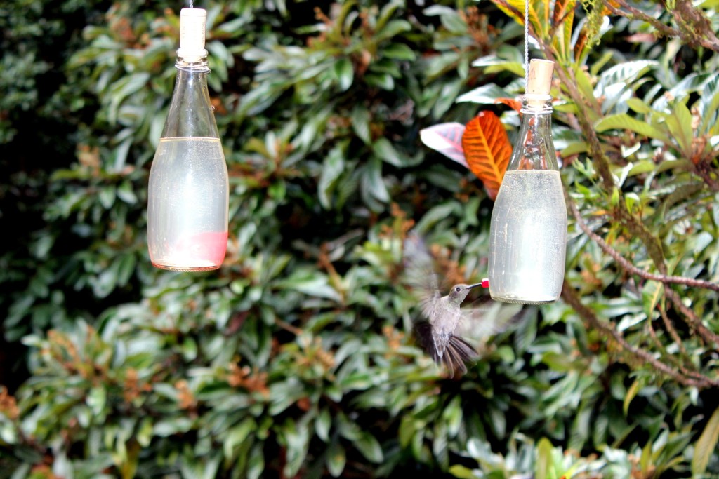 Varanda dos Colibris