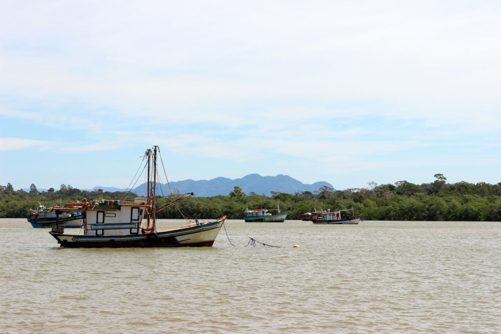 Santa Cruz: o passeio de escuna pelo Rio Piraqueaçu