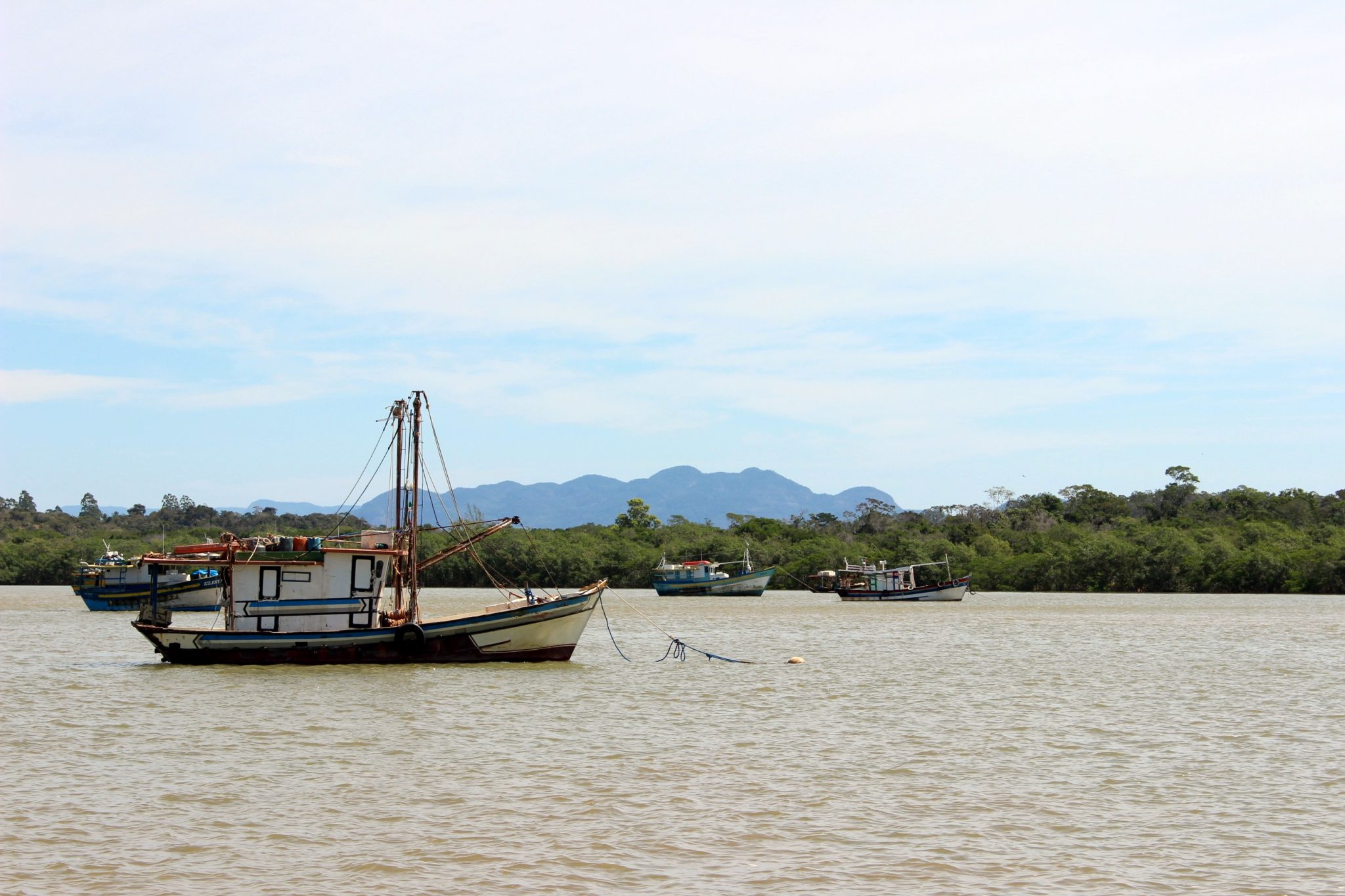 Santa Cruz: o passeio de escuna pelo Rio Piraqueaçu